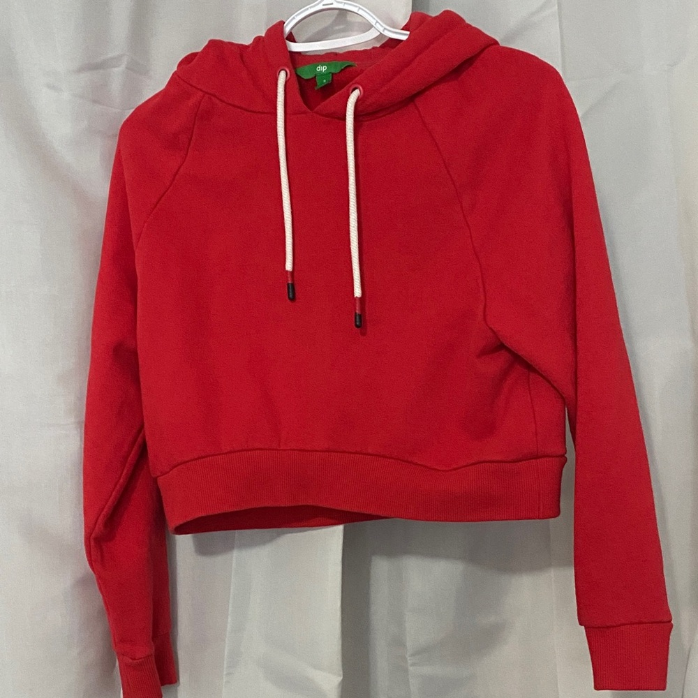 Barely worn Dip Crop Hoodie Size Small